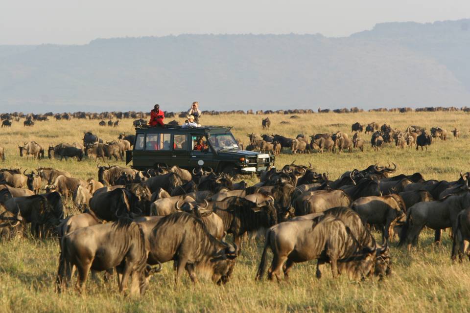 Image result for Maasai Mara Game Reserve