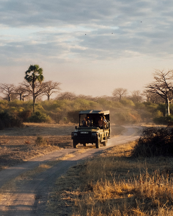 asilia africa safari vehicle driving along a dusty road at sunrise in southern tanzania