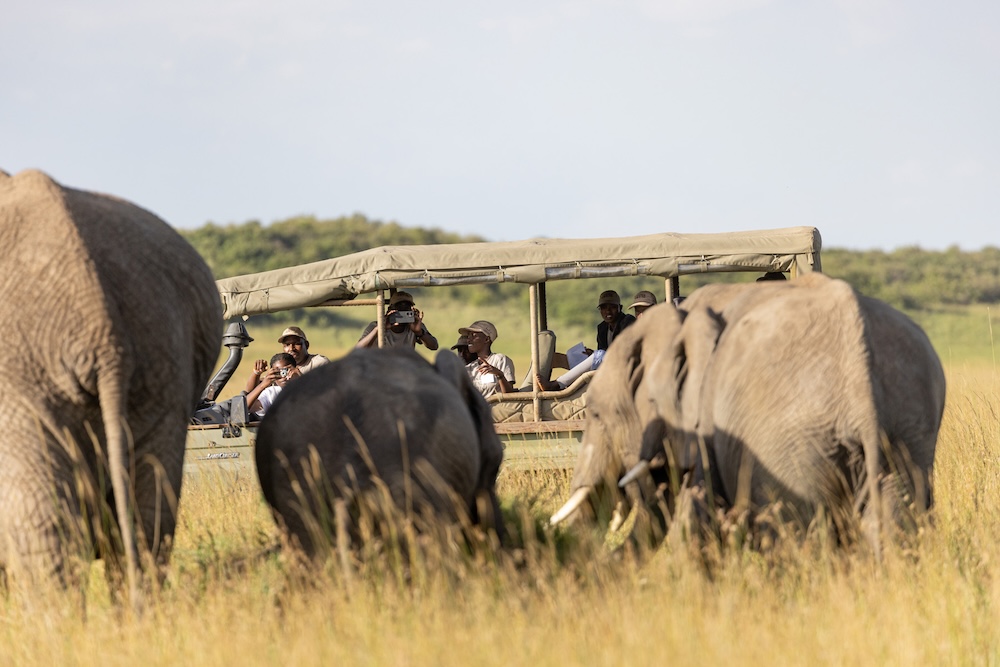 Twende Porini children’s eco education