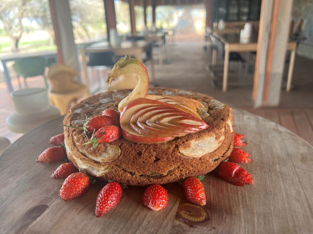 Diana's famous apple sauce cake | Asilia Africa