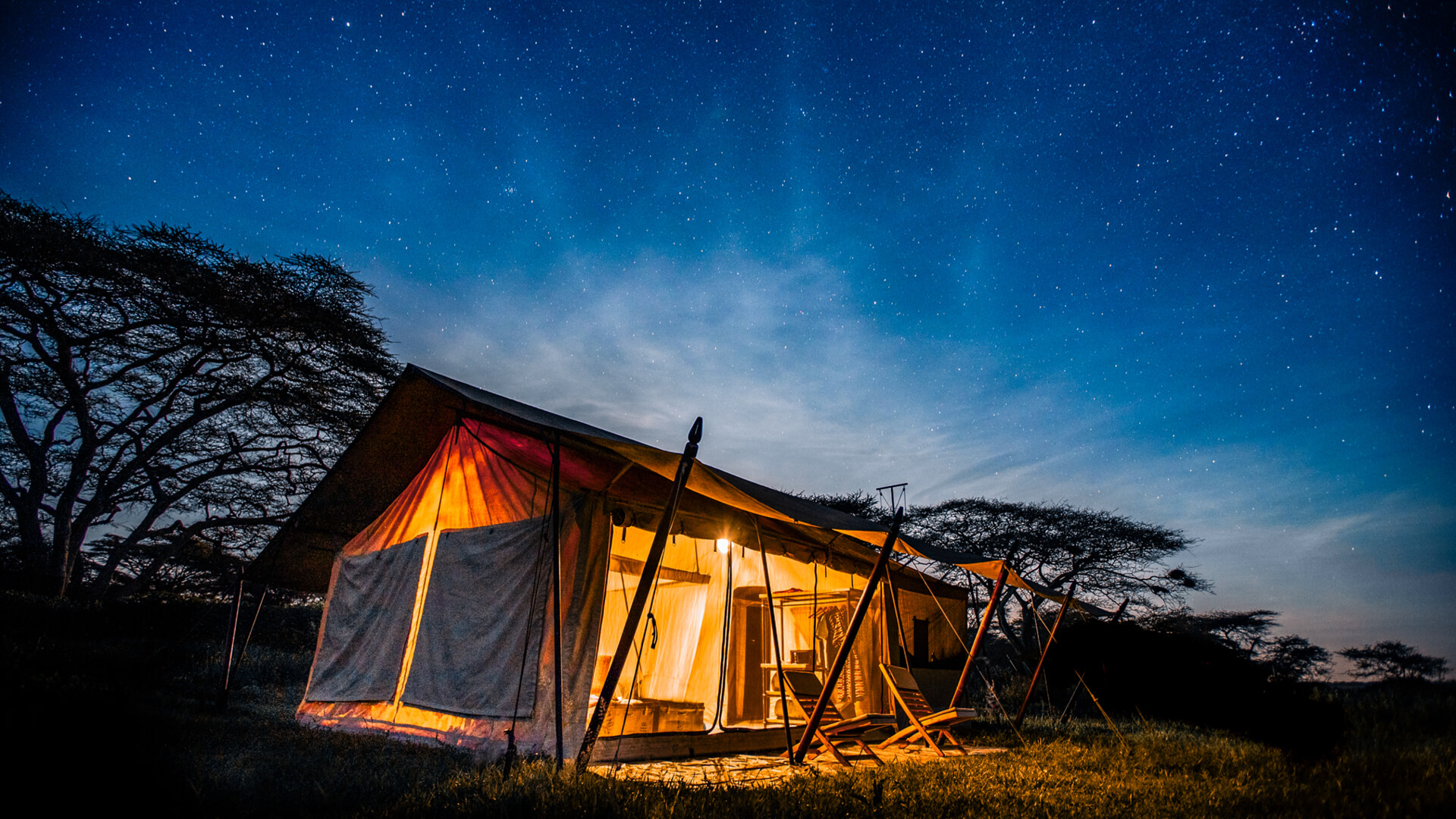 A tented safari camp beneath a glittering African sky