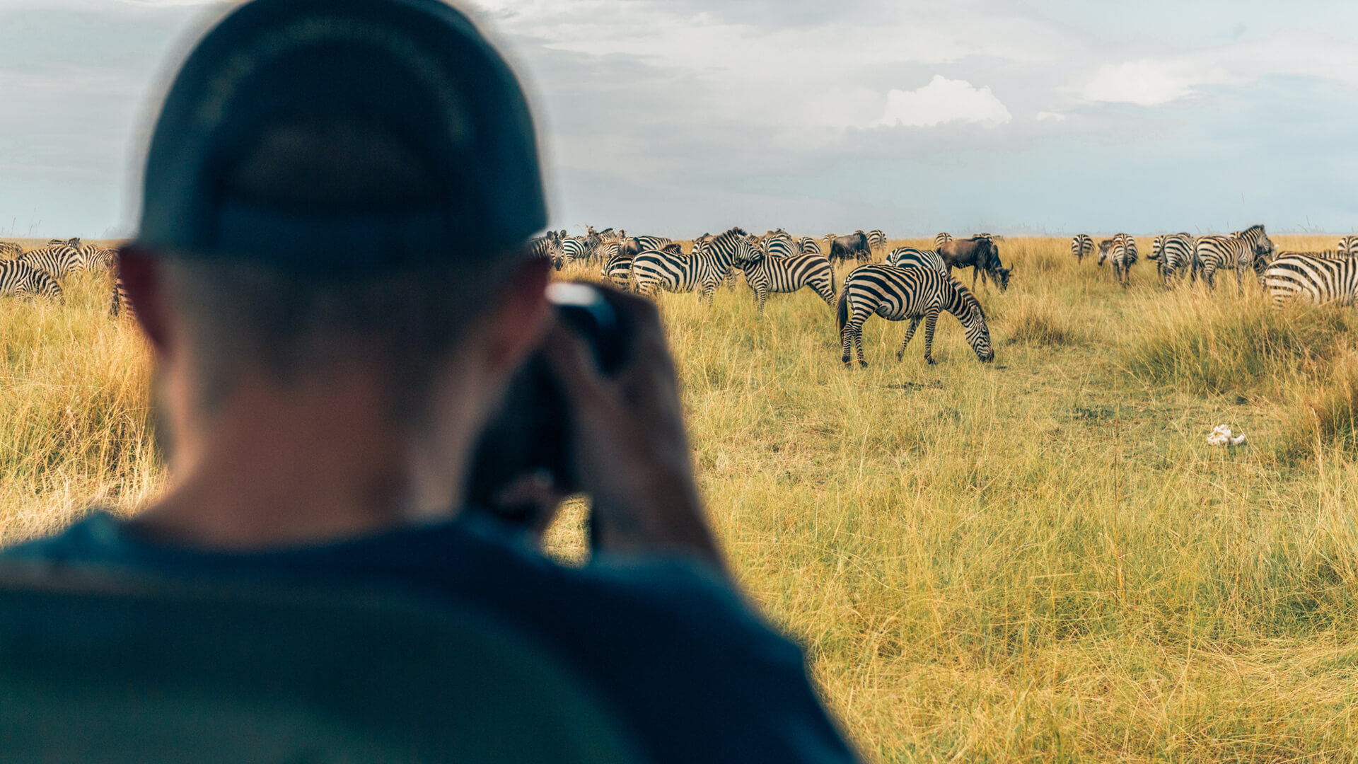 A photographer gets the shot of a herd of zebra