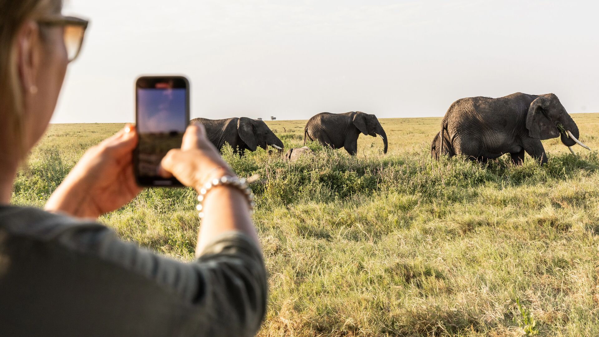 A guest photographs a small herd of elephants walking through grassy savannah during a daytime game drive from Namiri Plains, with wide open plains stretching into the distance.