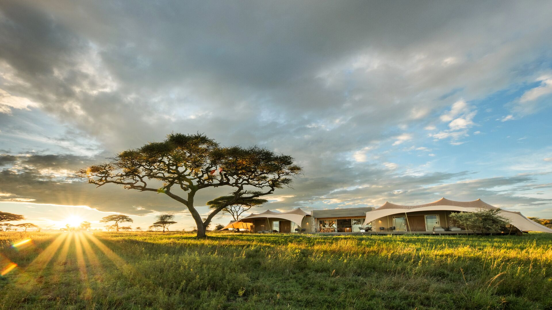 The Namiri Retreats, set on open grassland at sunset, with canvas tents and a central lodge illuminated by warm light, framed by an acacia tree and dramatic clouds.