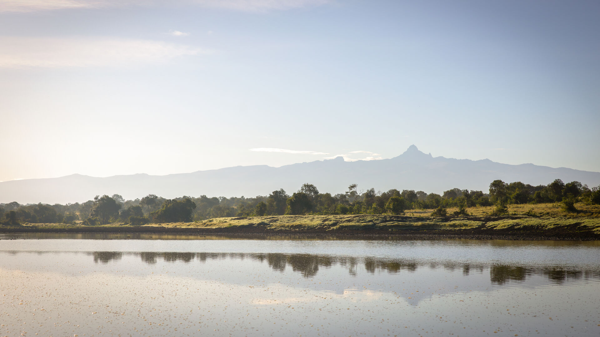 A distant view of Mount Kenya beyond a river with trees and grassy plains in the foreground.