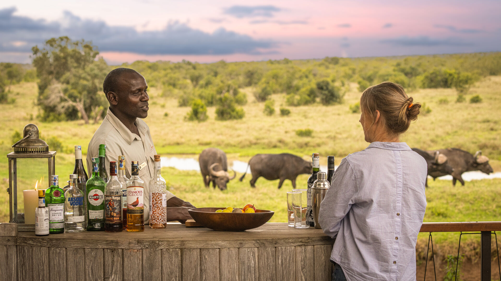 A guest at a bush bar with drinks set out while buffalo graze in the background