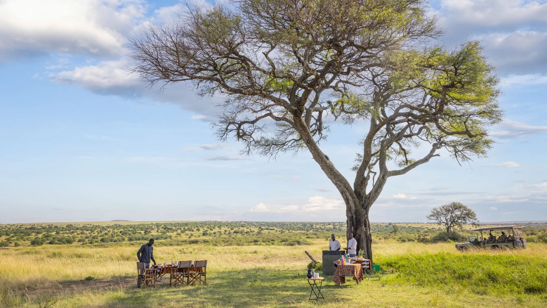 A bush breakfast setup under a large acacia tree, with Asilia staff preparing a table in open savannah while a safari vehicle waits nearby, overlooking wide grassy plains.