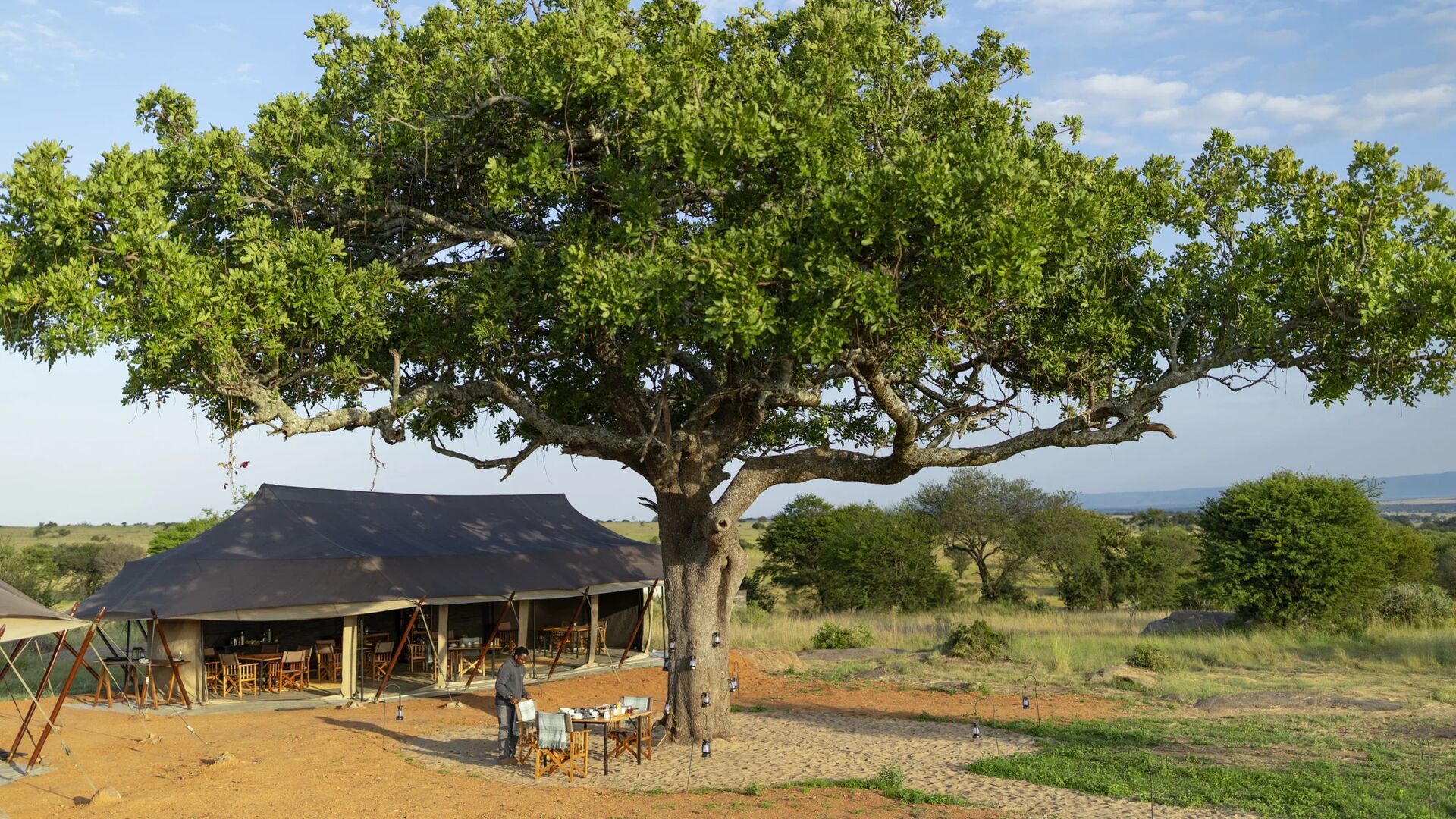 Outdoor breakfast setup beside Olakira Migration Camp with a large leafy tree at the centre, staff arranging tables, and canvas tents set against open savannah and distant hills.