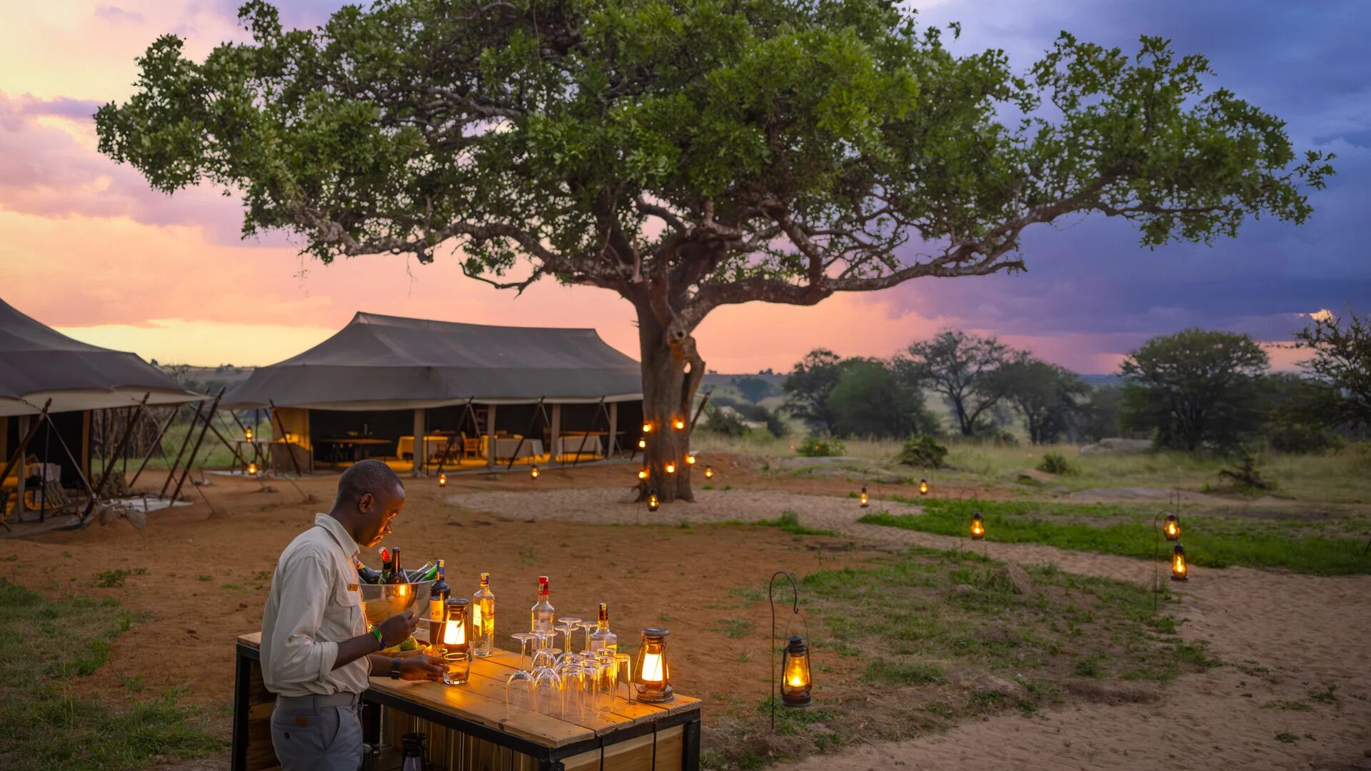 A staff member at Olakira Migration Camp prepares drinks at an outdoor safari bar, lanterns lining the ground and a large tree, with canvas tents and a colourful sunset sky in the background.
