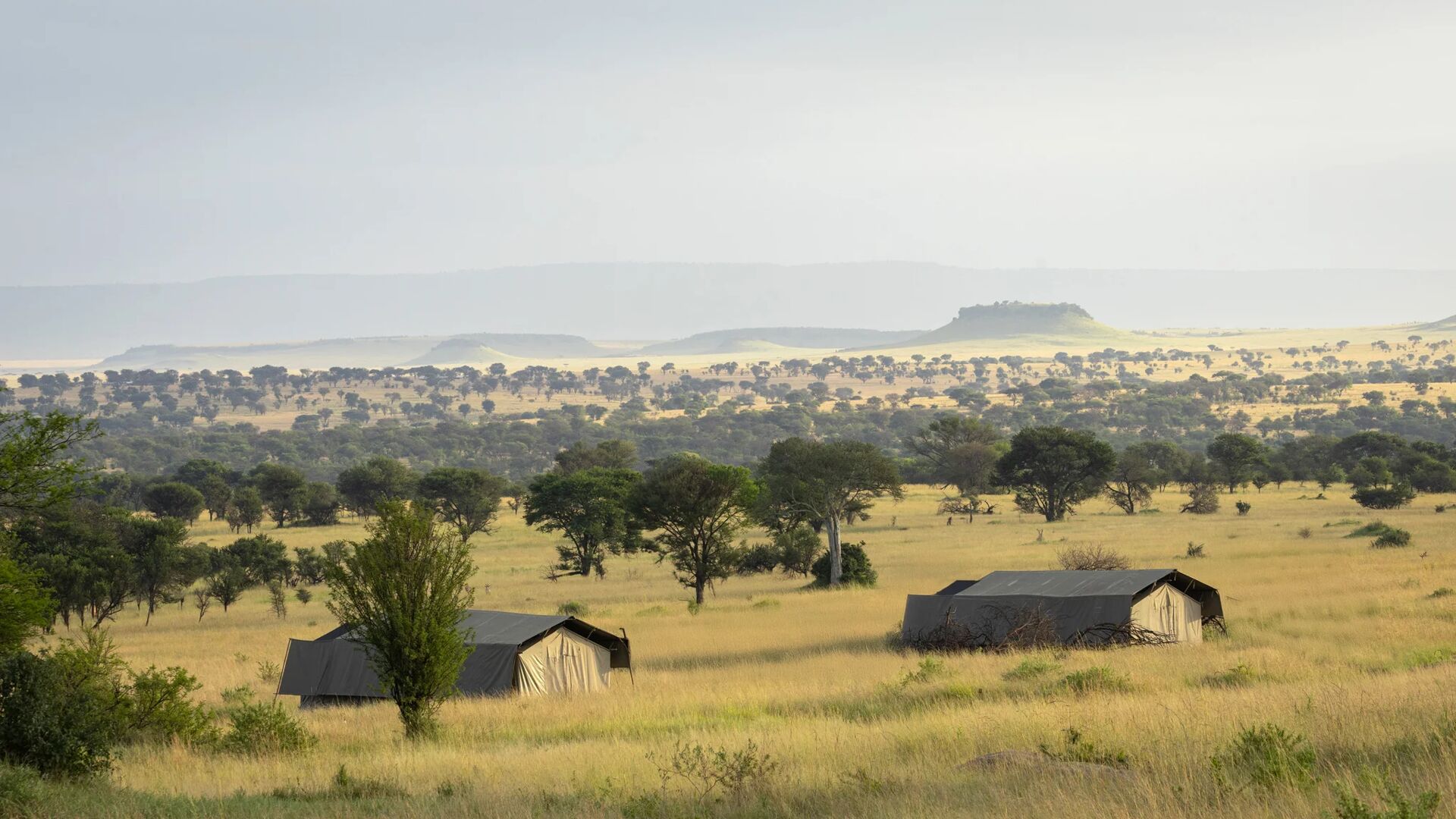 A mobile safari camp with canvas tents set among golden grasslands and scattered acacia trees, overlooking expansive plains and distant hills.