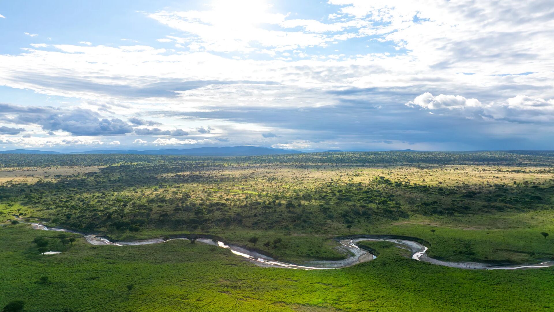 Wide aerial view of Tarangire National Park, showing expansive savannah, scattered trees, and a winding river cutting through green plains beneath a dramatic sky.