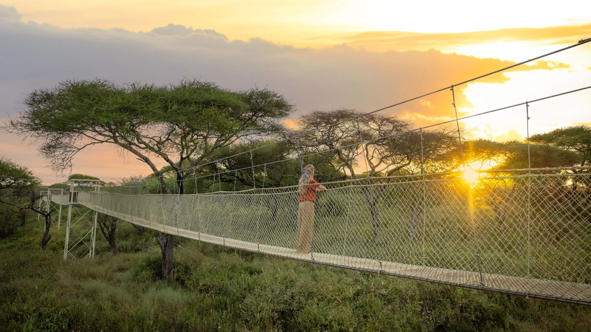 A female guest stands on the raised suspension walkway at Oliver's Camp above the trees, watching the sun set through acacia trees, with golden light illuminating the sky and landscape.