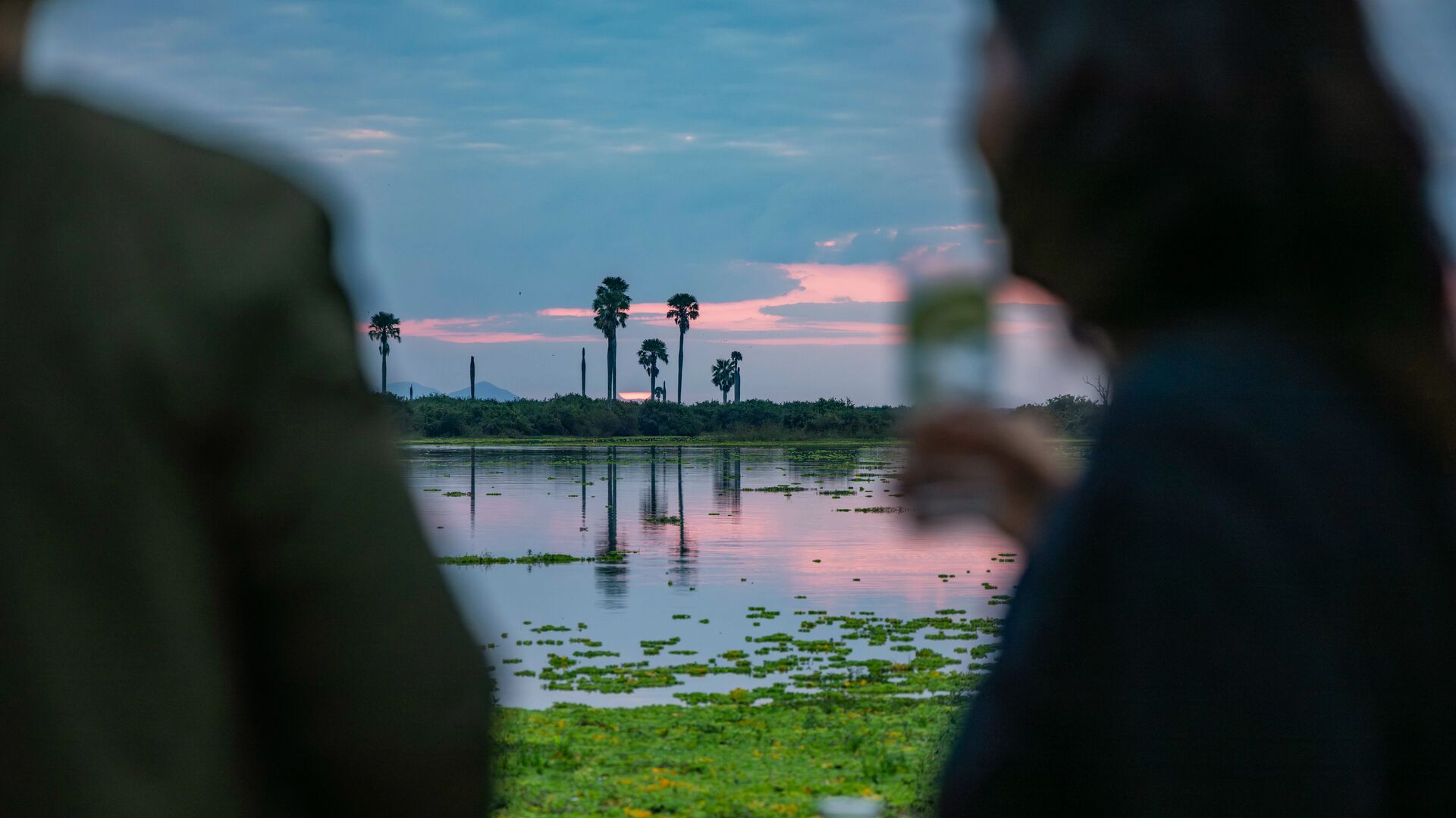 A calm river at sunset with palm trees reflected in the water, viewed between blurred foreground figures