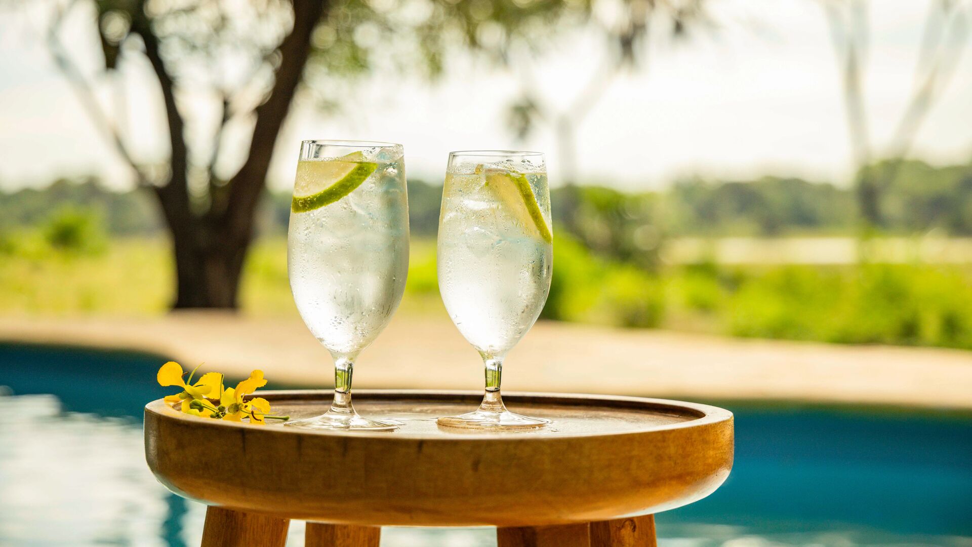 Two chilled drinks with lime slices on a wooden table beside a swimming pool overlooking greenery at Roho ya Selous