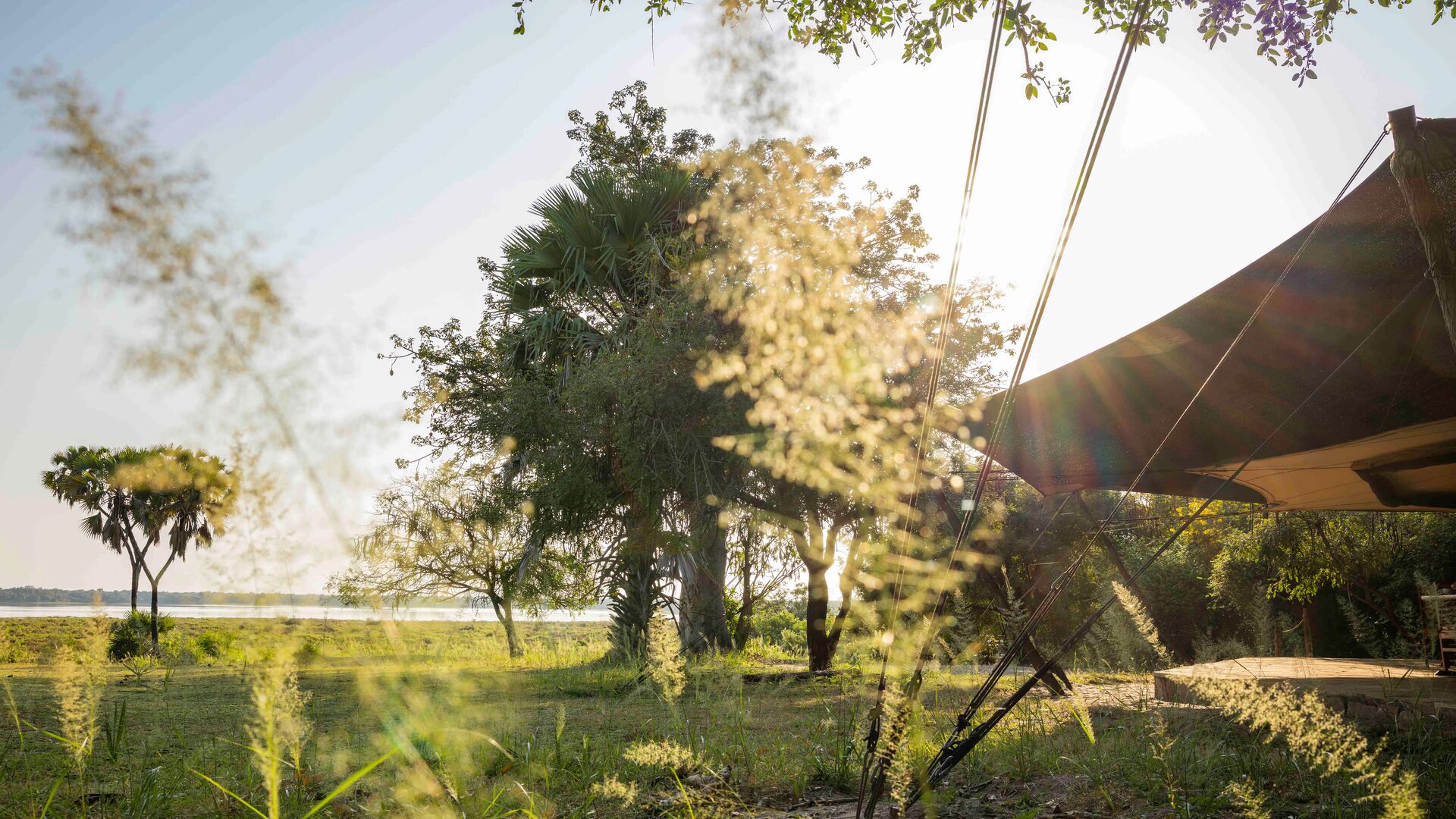 Sunlight shining through trees at Roho ya Selous with grassy landscape and river beyond
