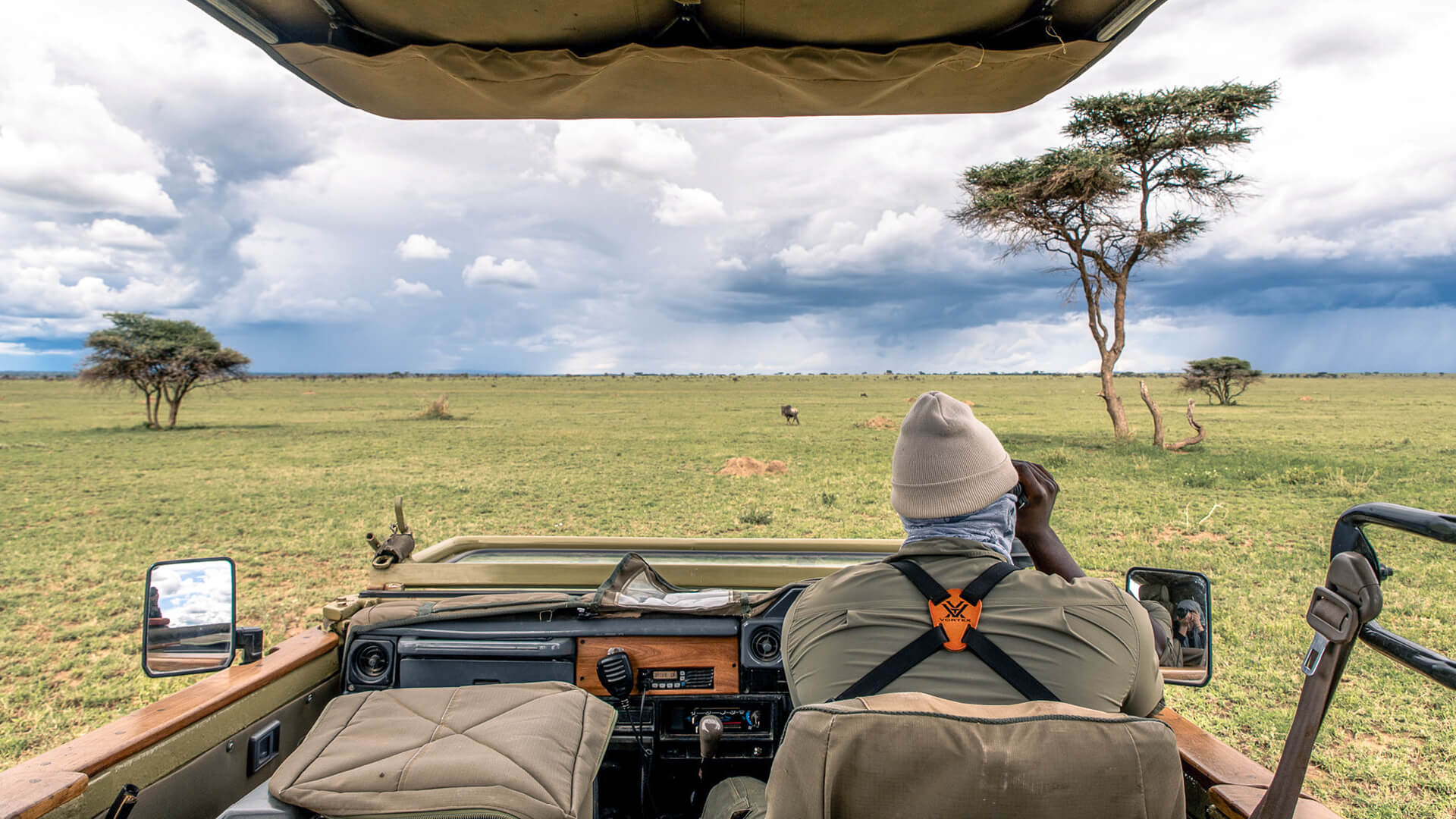 Asilia guide on the lookout, ensuring guests the best sightings