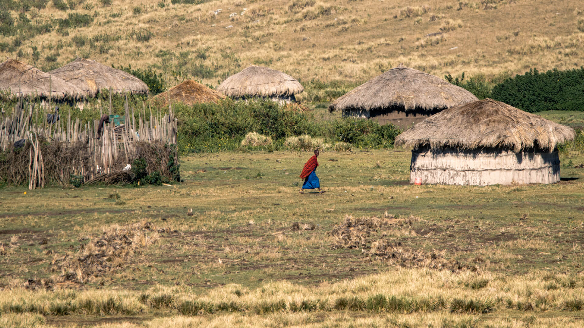 Masai tribesman in the village with bomas, the highlands camp, Ngorongoro Conservation Area, Tanzania