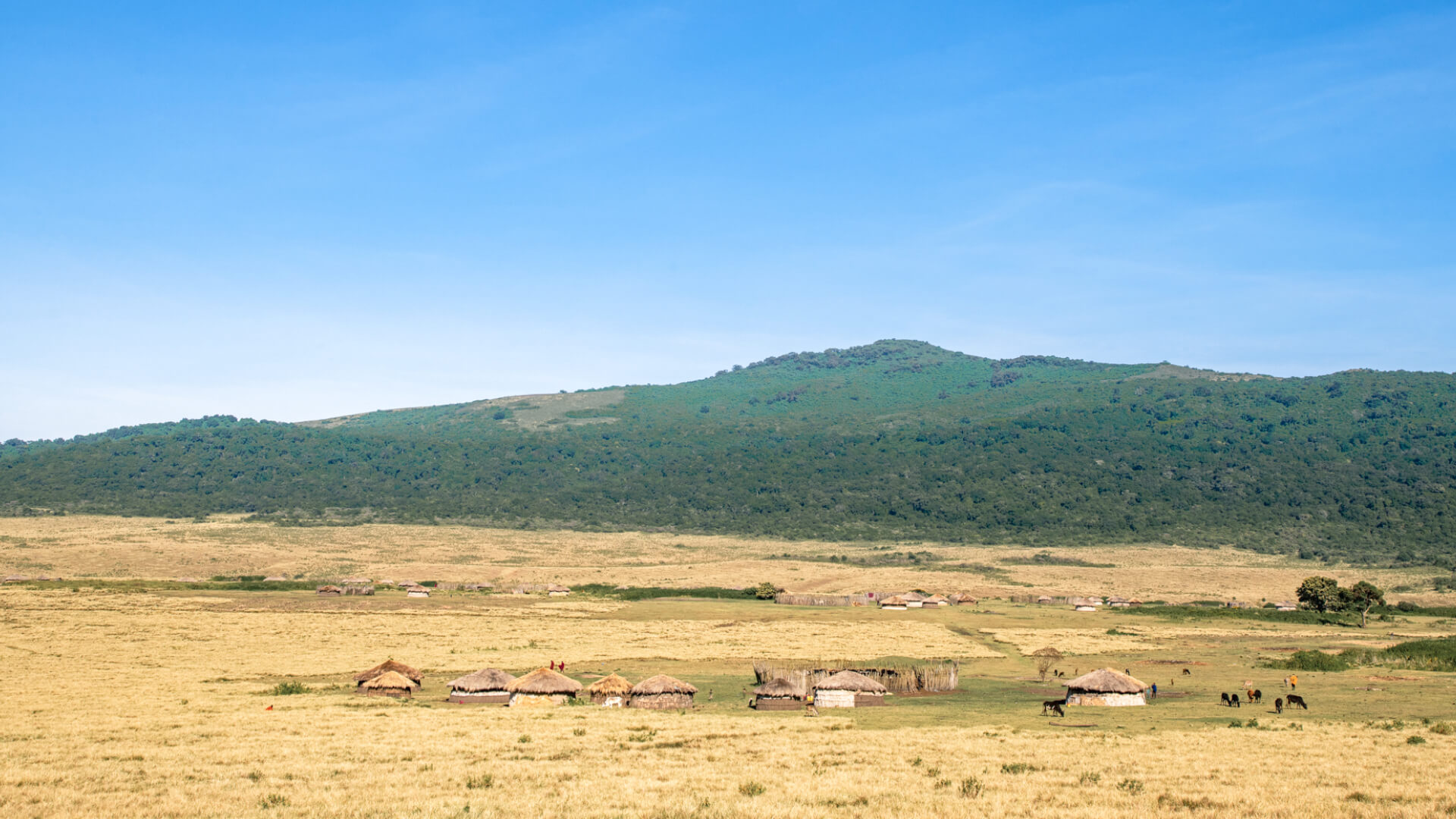 Landscape with view of a masai village, the highlands camp, Ngorongoro Conservation Area, Tanzania