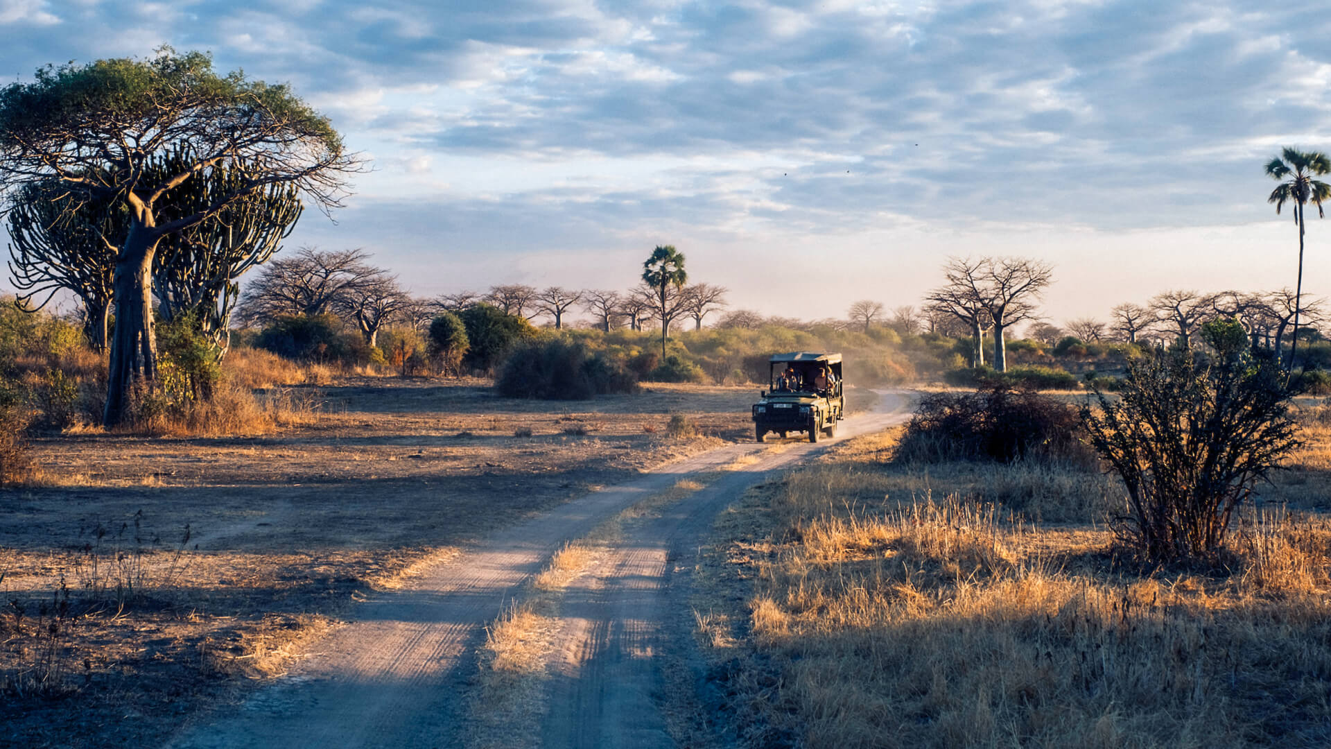 Jabali Private House, Ruaha National Park, Activity, guests on a game drive in a safari vehicle on the road driving through the park between trees and the landscape