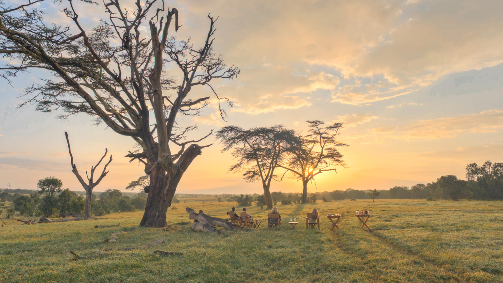Guests enjoying sundowners in the bush, Ol Pejeta Bush Camp, ol pejeta conservancy, kenya