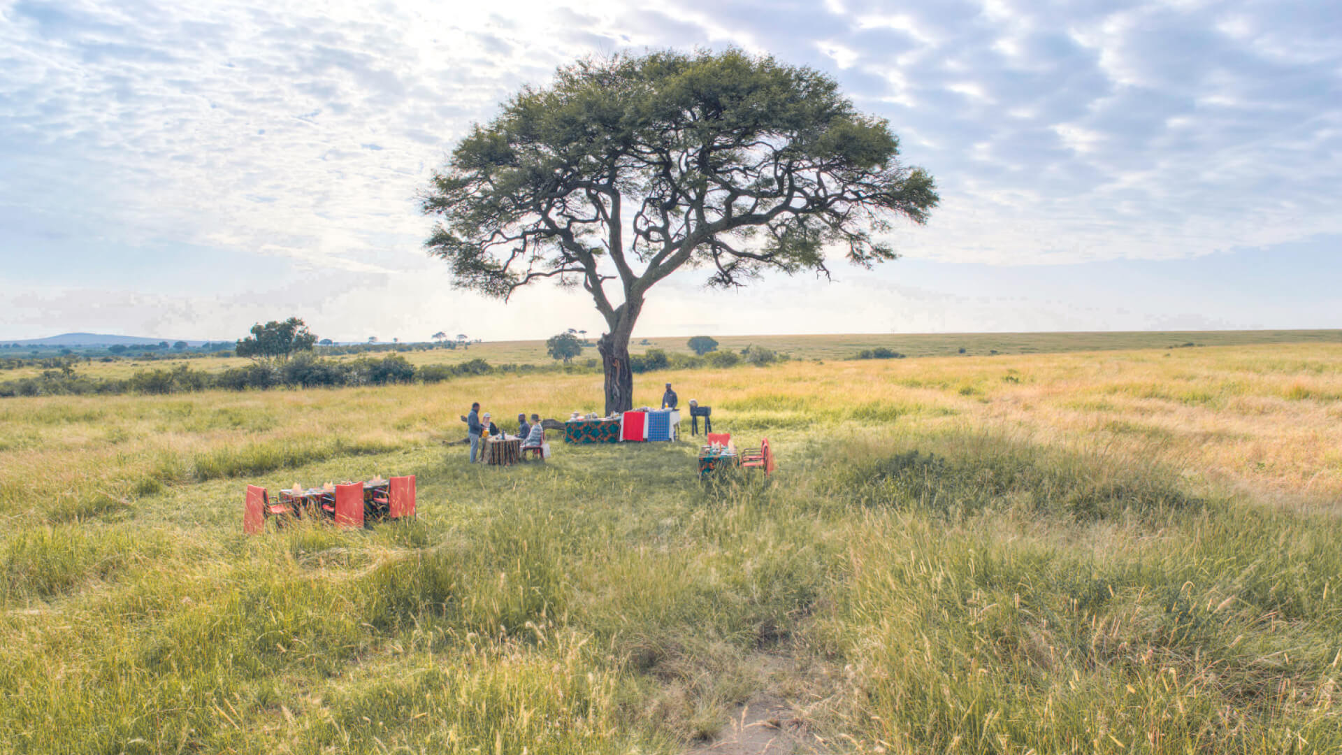 guests enjoying a bush breakfast, olakira migration camp, Serengeti National Park, Tanzania