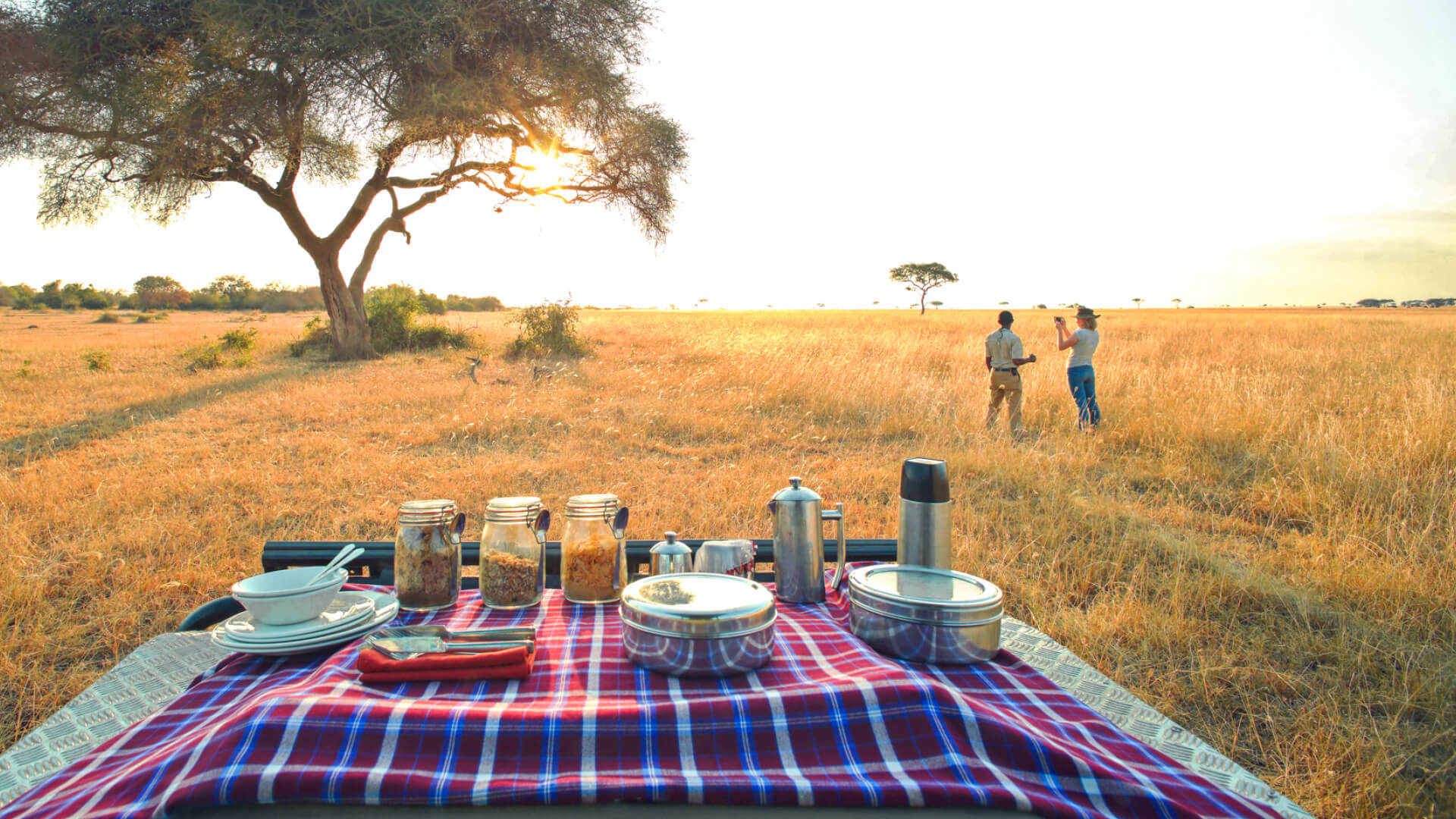 Bush breakfast at sunrise, ubuntu migration camp, Serengeti National Park, Tanzania