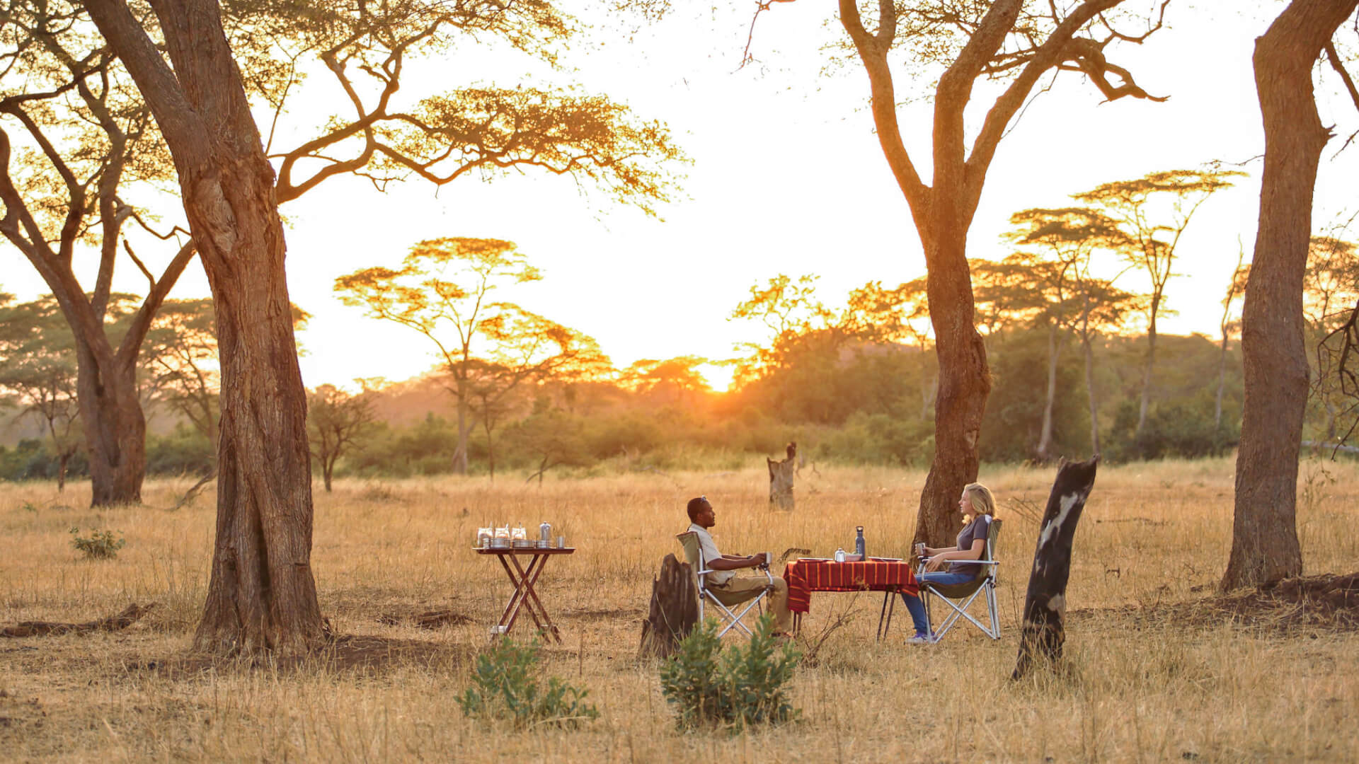 Guests enjoying mealtime in the bush, ubuntu migration camp, Serengeti National Park, Tanzania