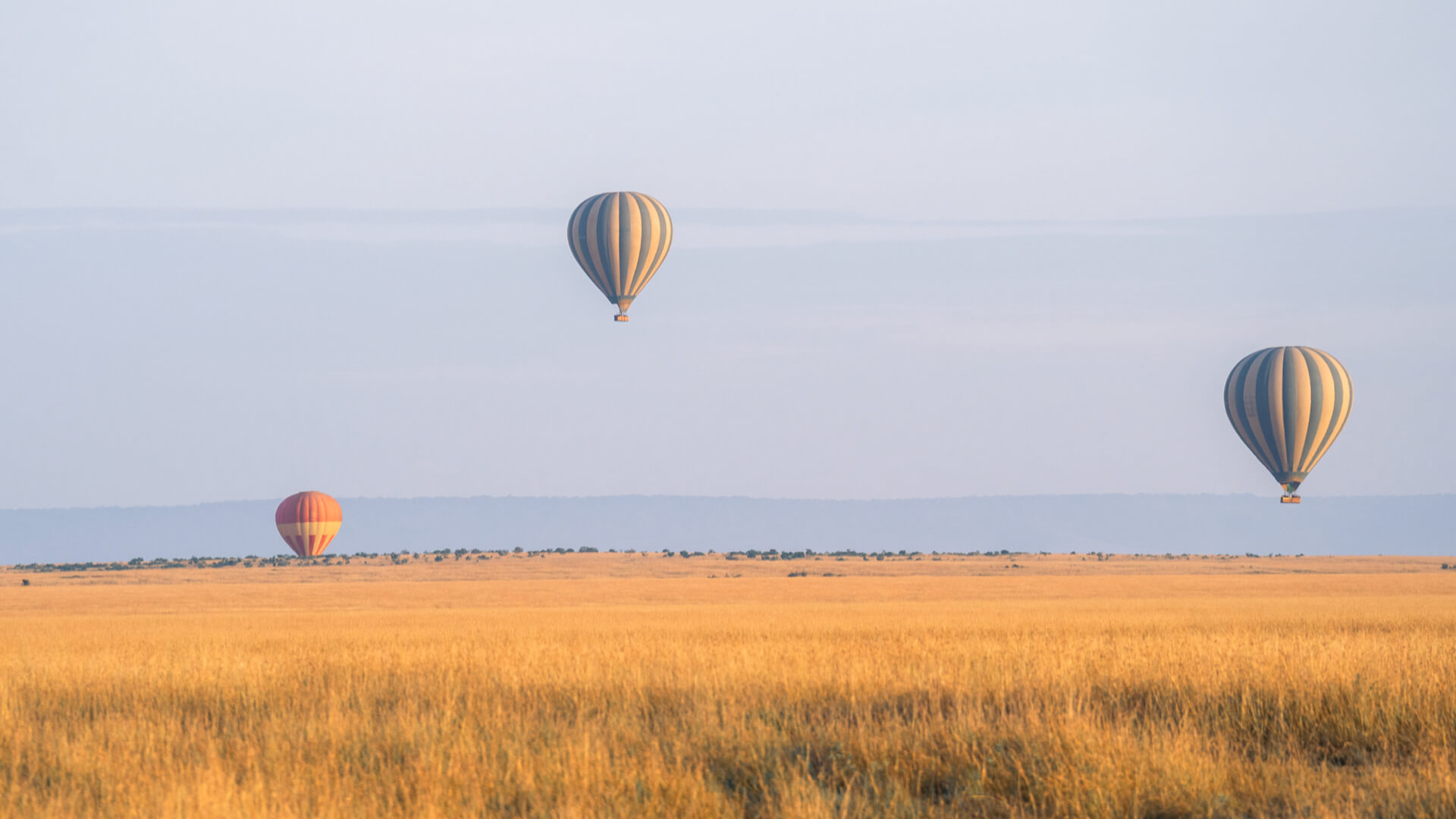 Three colourful hot air balloons take flight over the wilderness