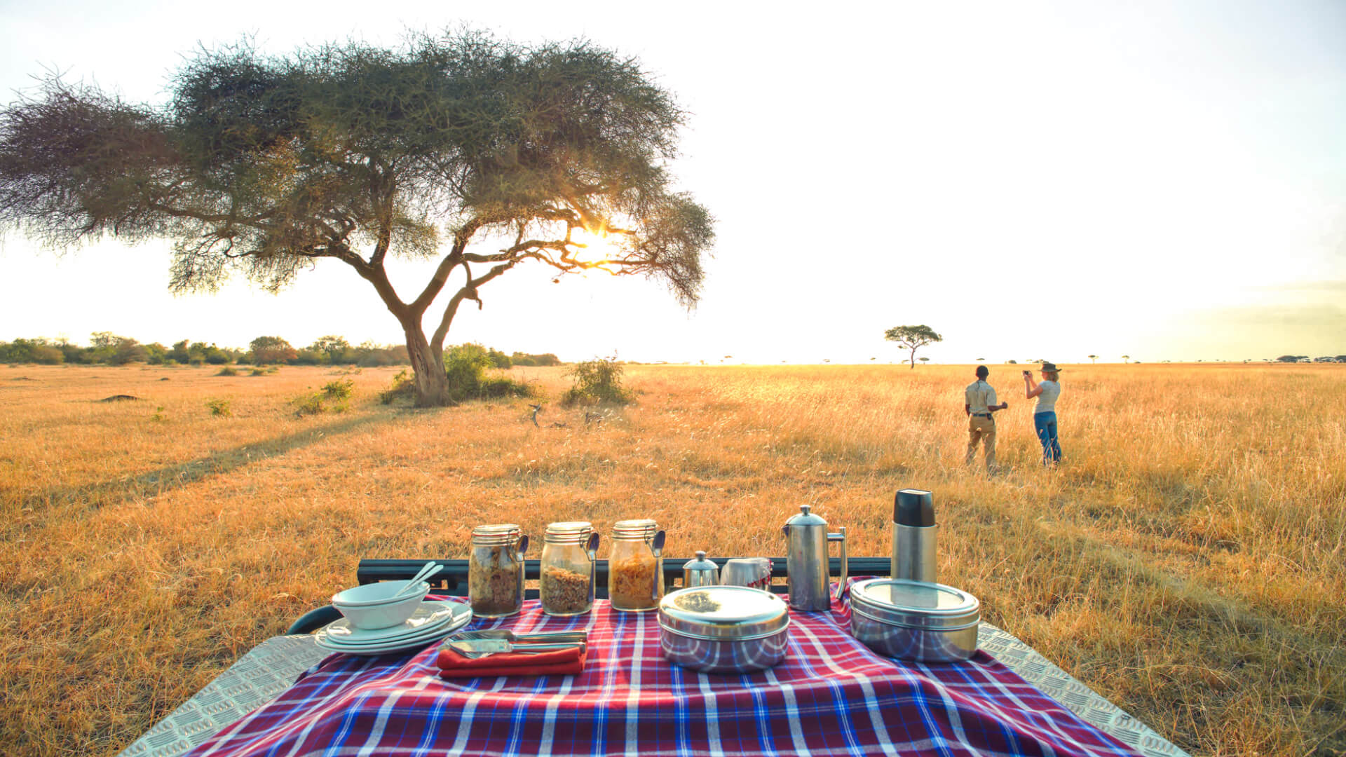 Bush breakfast in the Serengeti National Park Tanzania