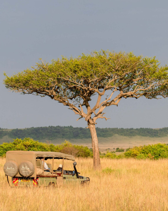 A game drive vehicle passing driving through open plains.