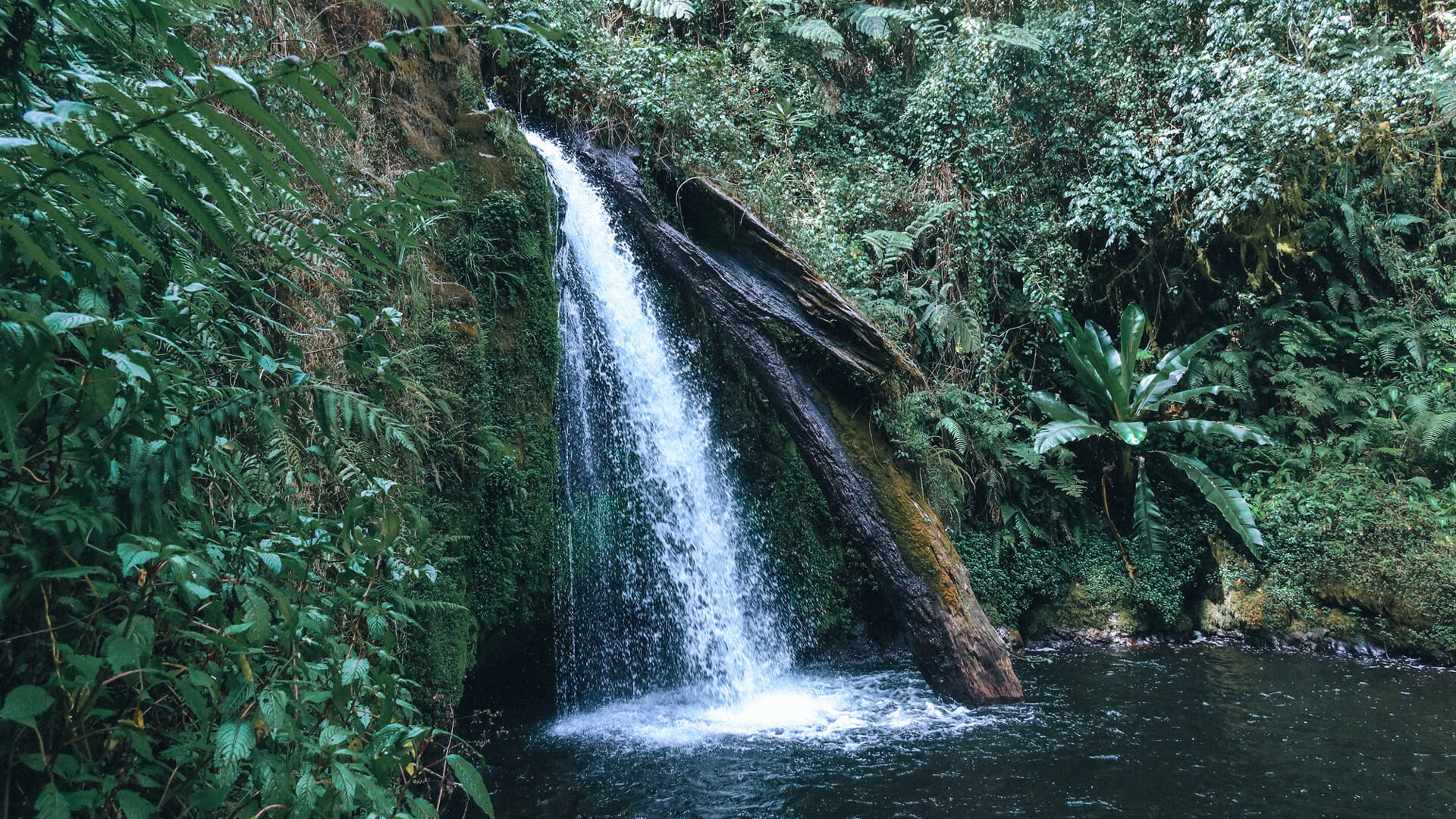 A waterfall in Nairobi Kenya