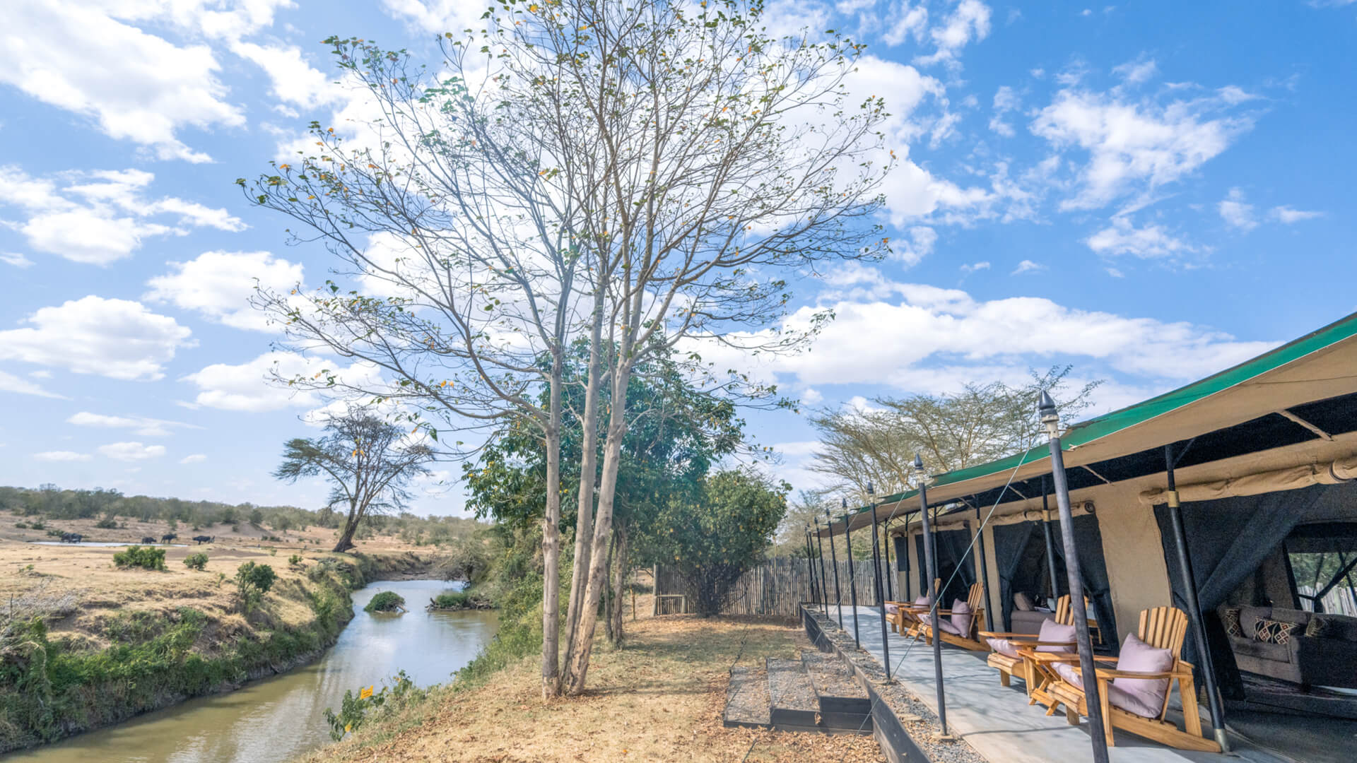 A tented safari camp overlooks a river
