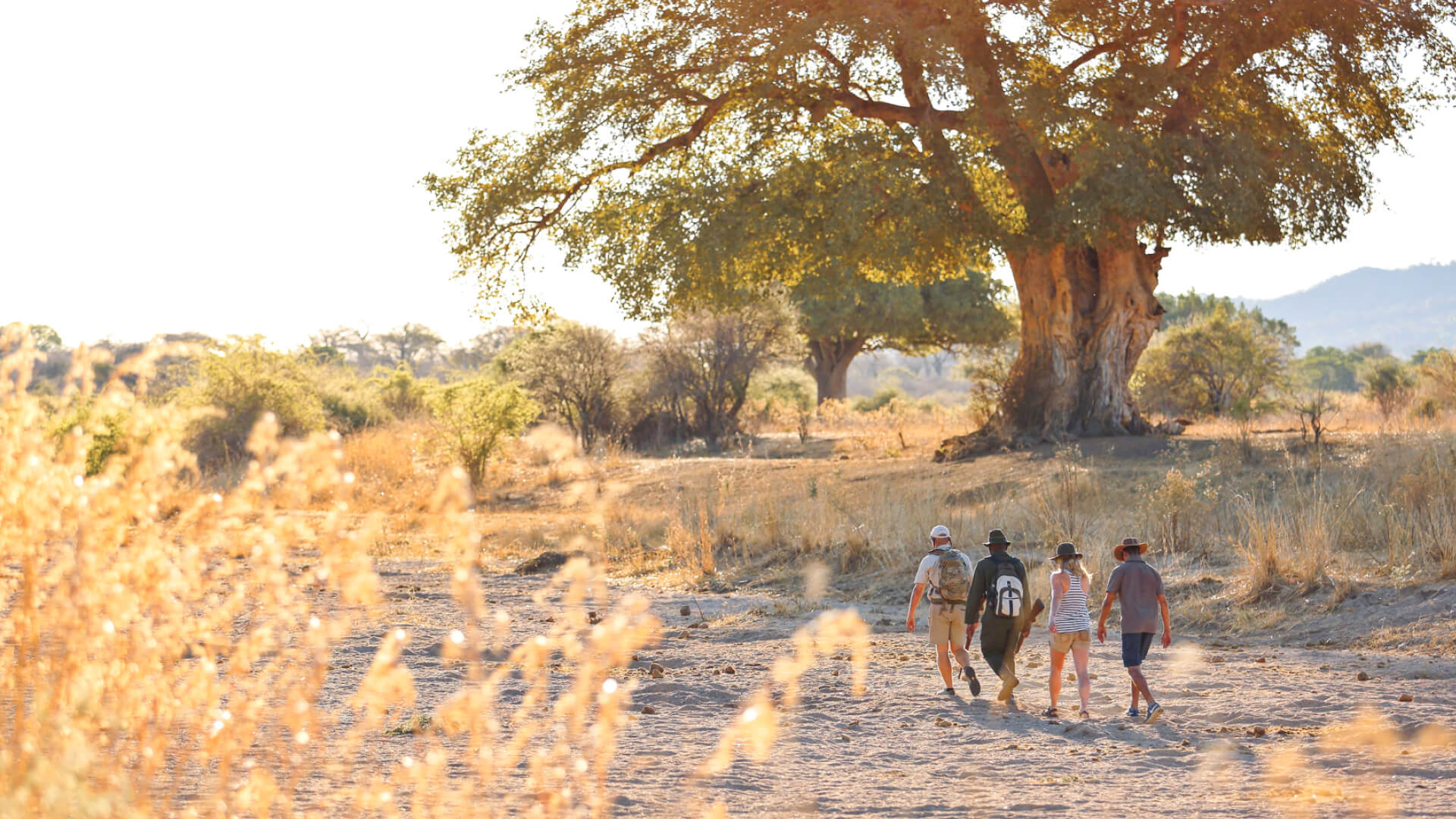 Guests walk along a dry riverbed at sunset, Tanzania