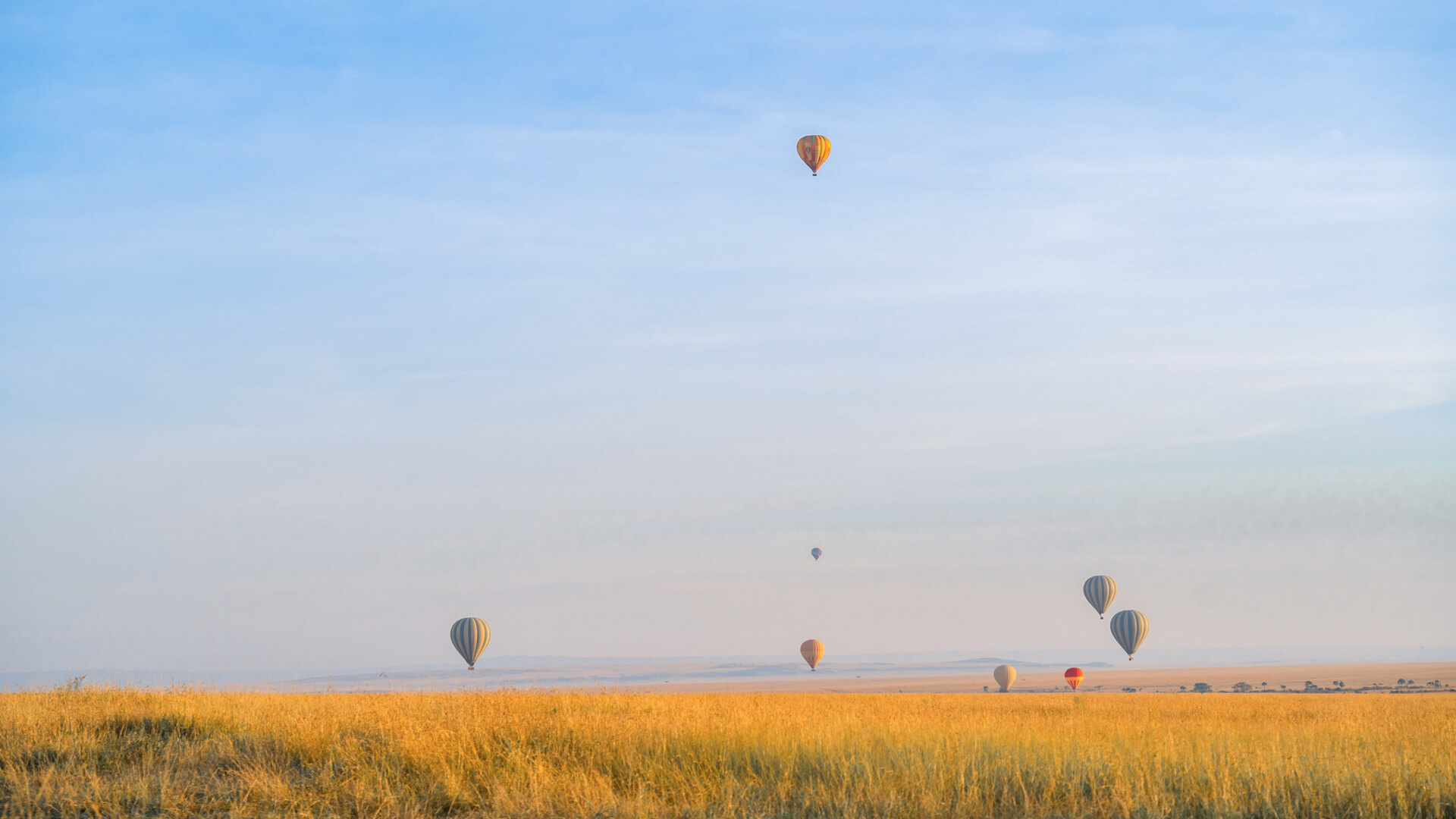 The skies above the plains of the Serengeti dotted with many colourful hot air balloons