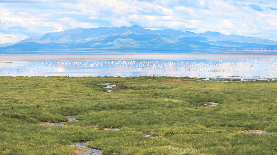 View of Lake Manyara during green season