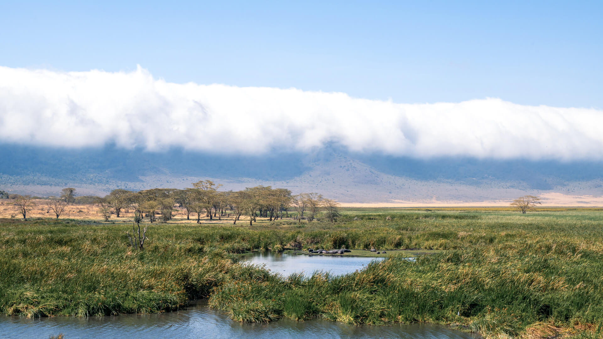 Ngorongoro Crater Tanzania