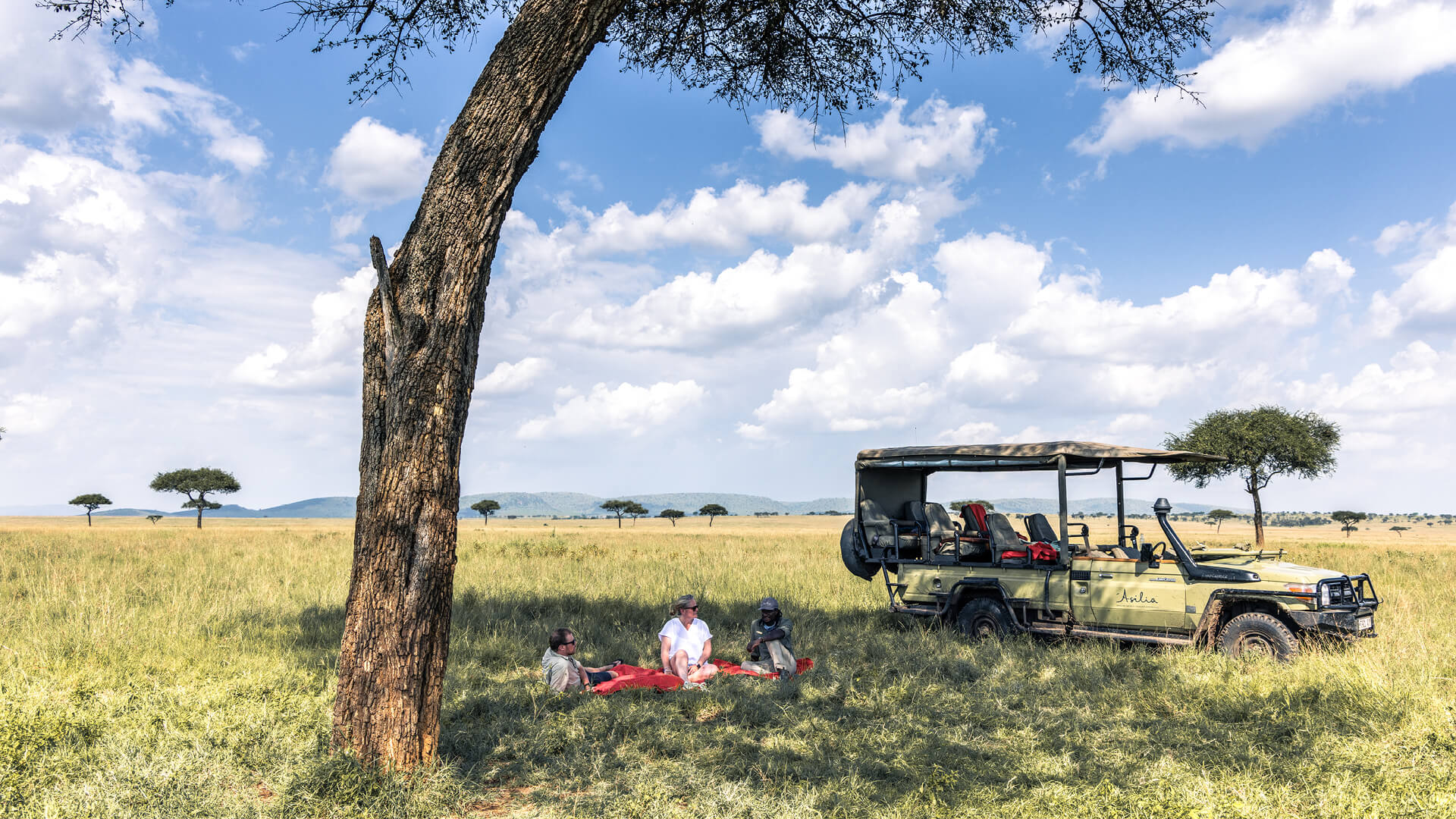 A couple and their guide enjoy a rest on a blanket in the Serengeti, Tanzania - Asilia Africa