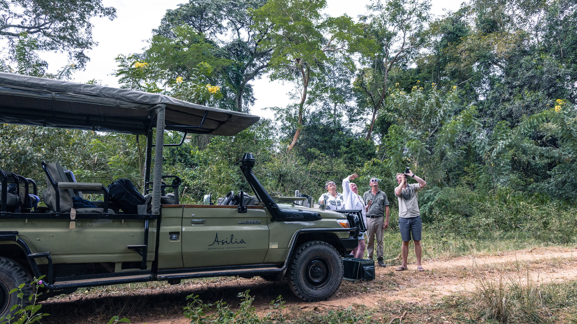 A group look up into the trees whilst on a game drive in Rubondo Island, Tanzania - Asilia Africa