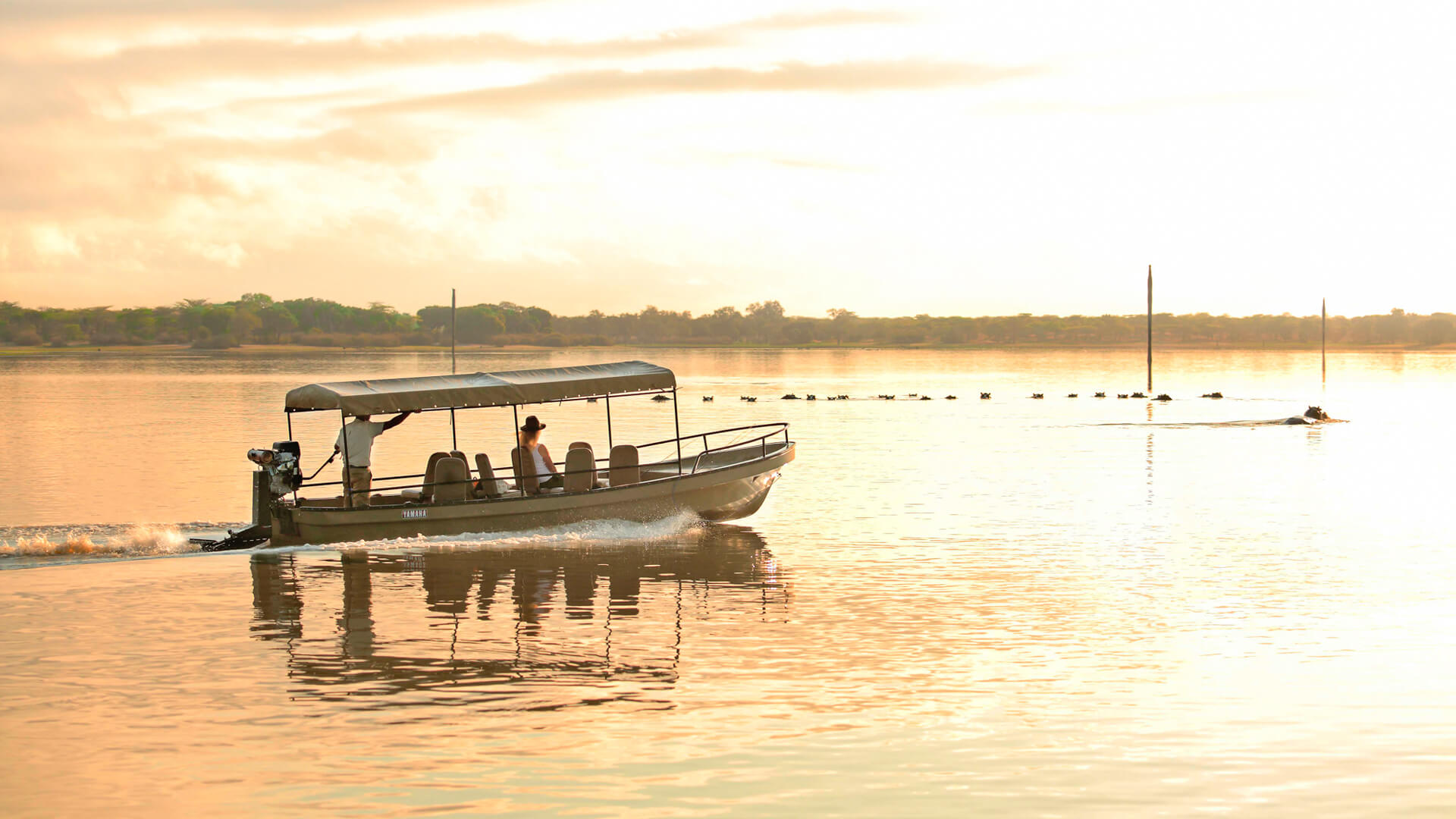 Guests on a boat safari watching hippo play in the water at dusk - Nyerere, Tanzania