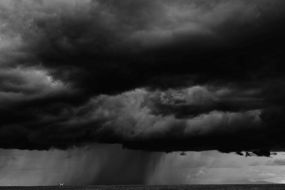 Approaching Rain Serengeti Plains