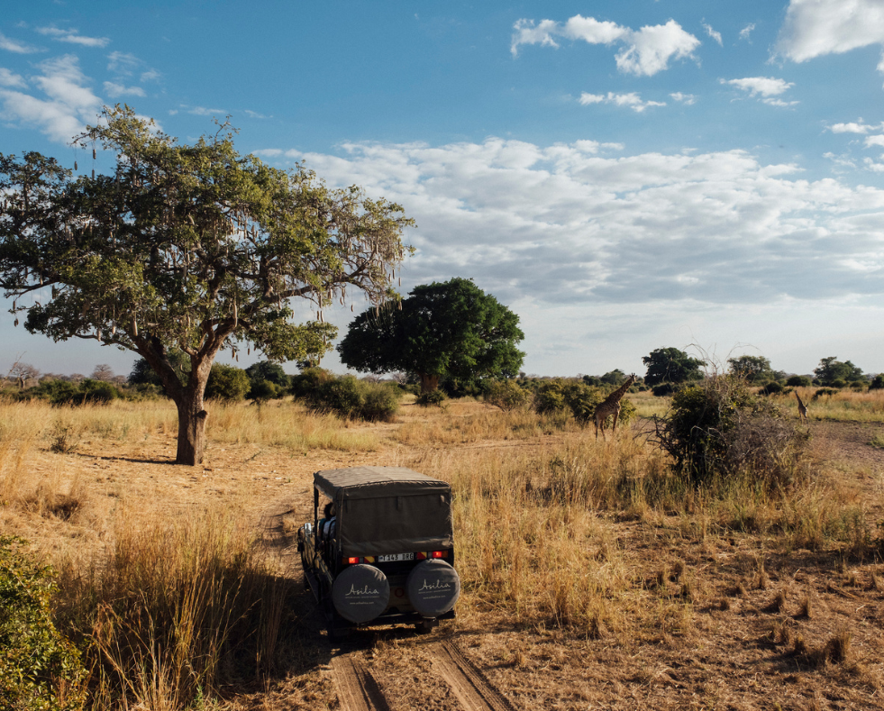 game drive from jabali private house, tanzania, asilia africa