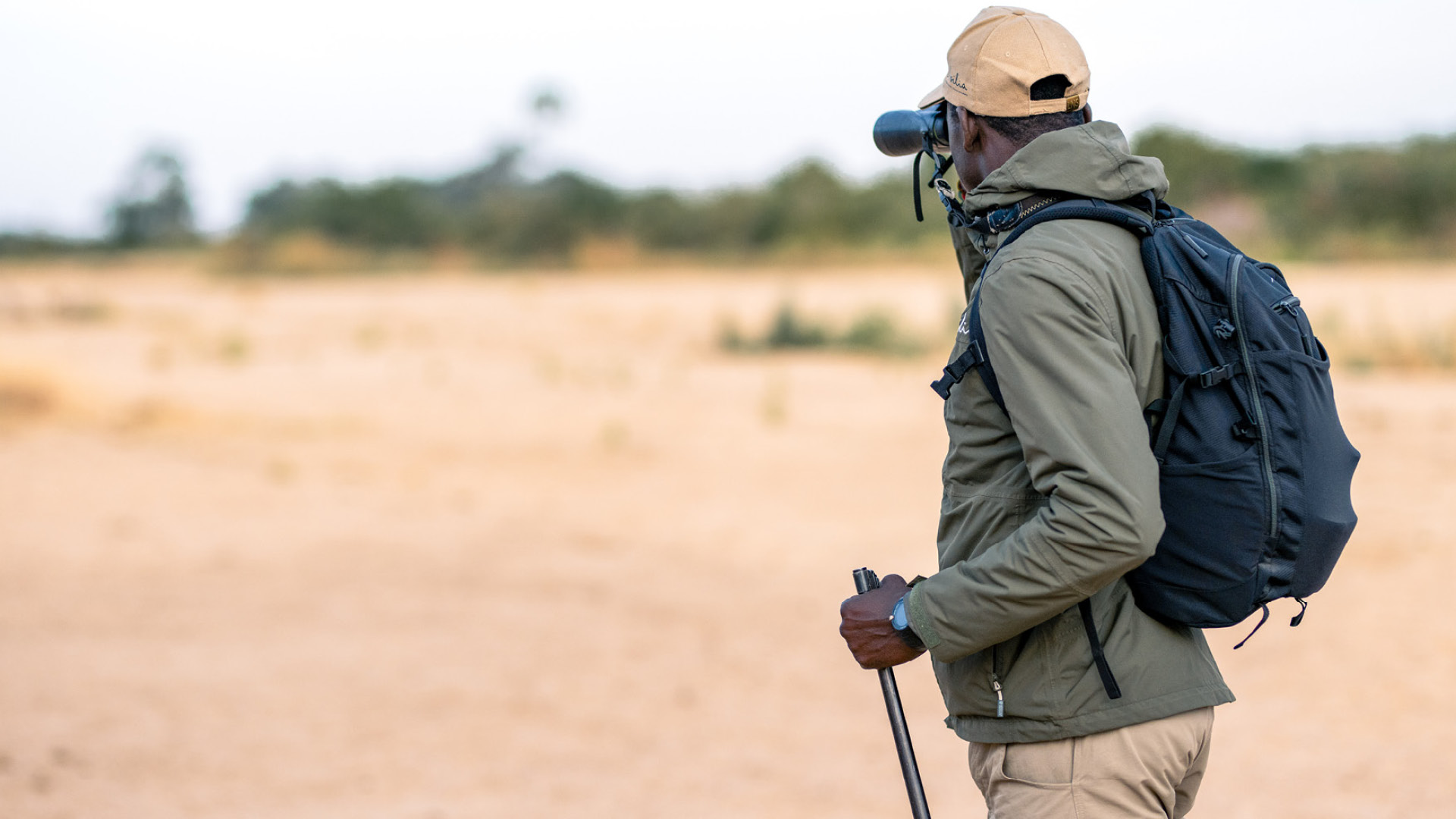 male safari guide looking through binoculars on a walking safari in east africa, asilia africa