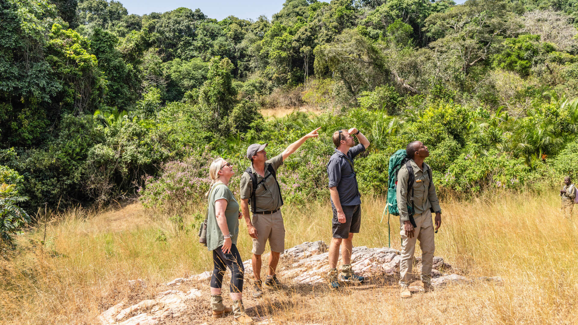 group of guests looking up into the trees on a walking safari on rubondo island, tanzania, asilia africa