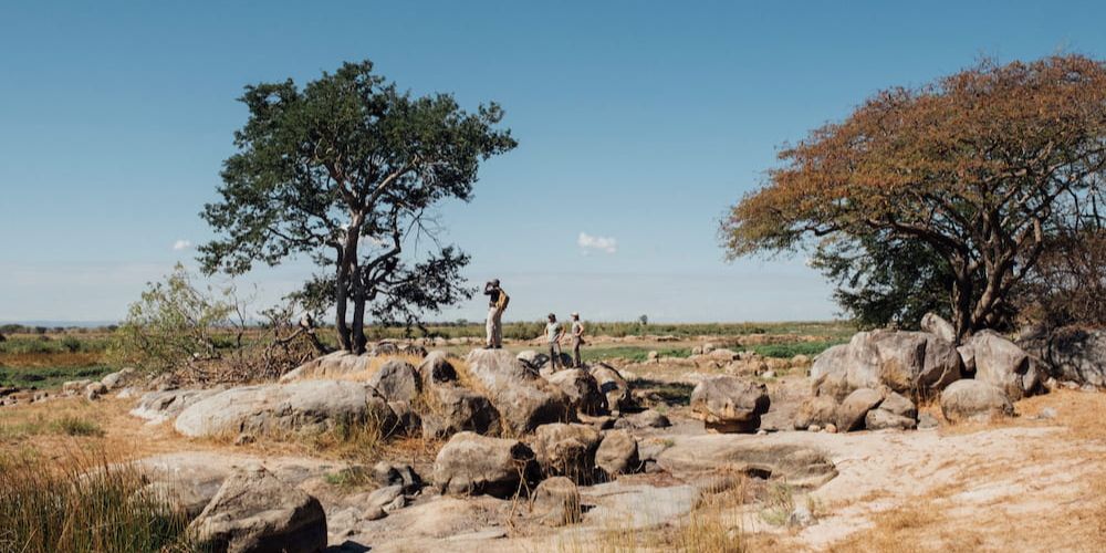 guests and guide standing on a rock in Ruaha national park during walking safari