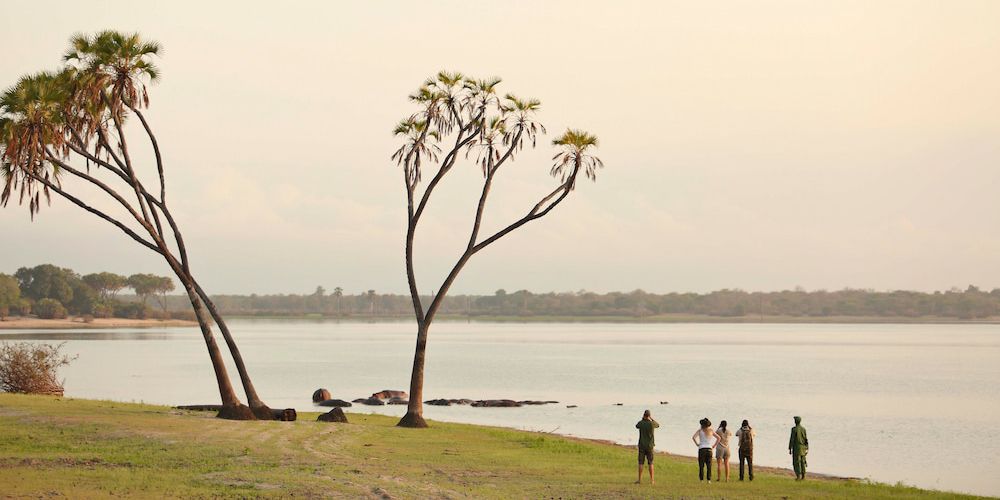 Guest gazing out on the banks of the river on walking safari
