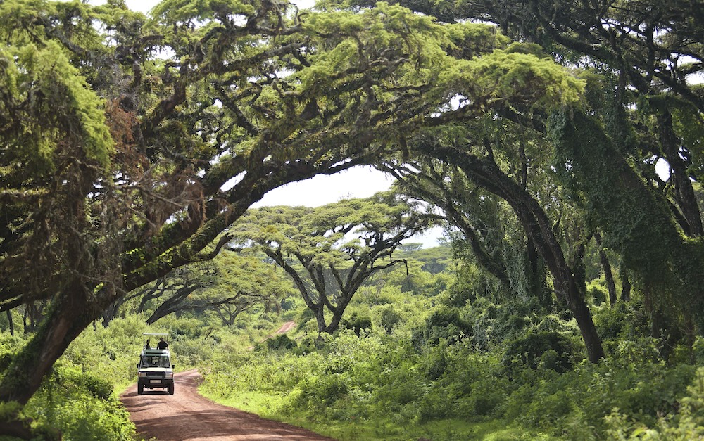 15 the highlands ngorongororoad