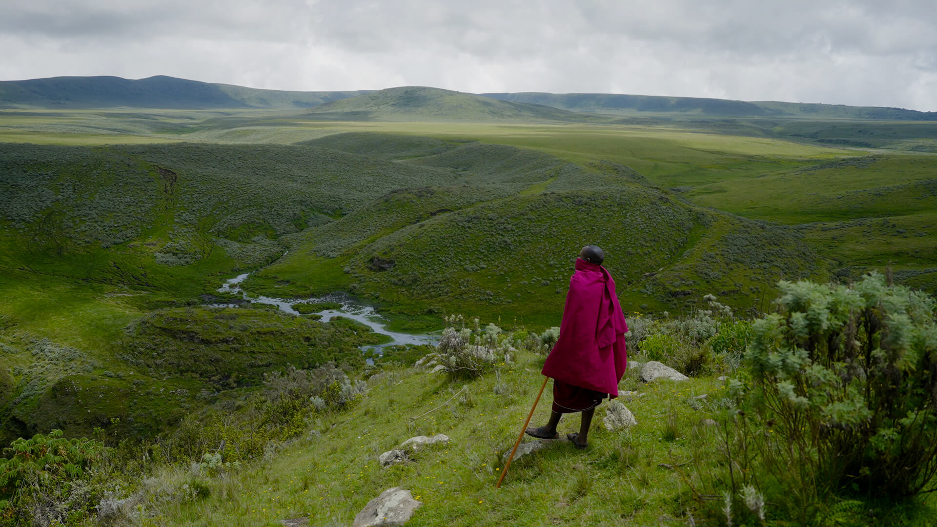 A Maasai herdsman surveys the rolling landscape of East Africa