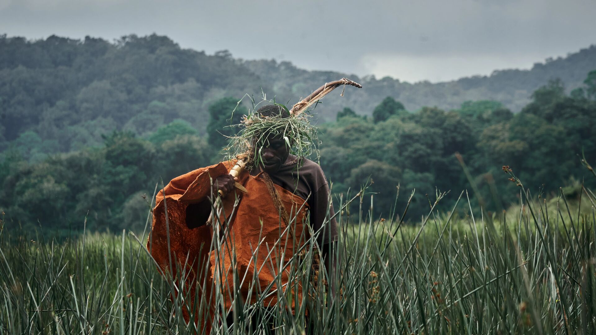 A Batwa man in traditional clothing walking through tall grasses with forested hills in the background
