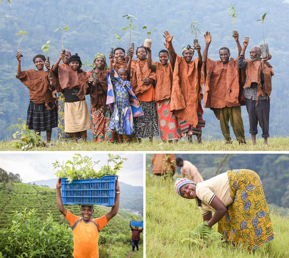 The local Batwa community participating in the reforestation project.