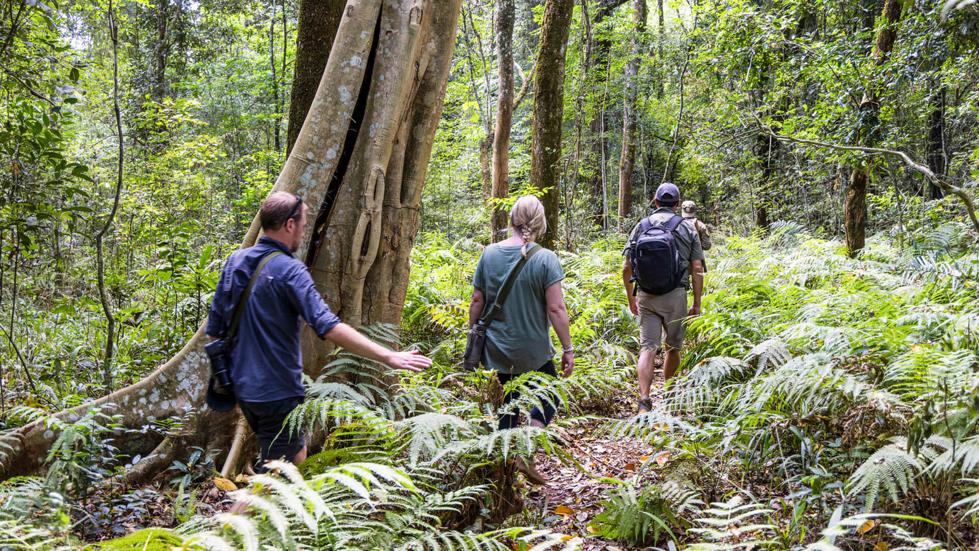 Lake Victoria, guided chimp trek safari
